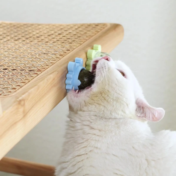 Juguete de limpieza dental para gatos - BOLA GIRATORIA HIERBA GATERA Catnip - Image 3