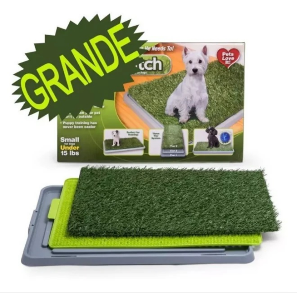 Tapete Para Mascotas Grande