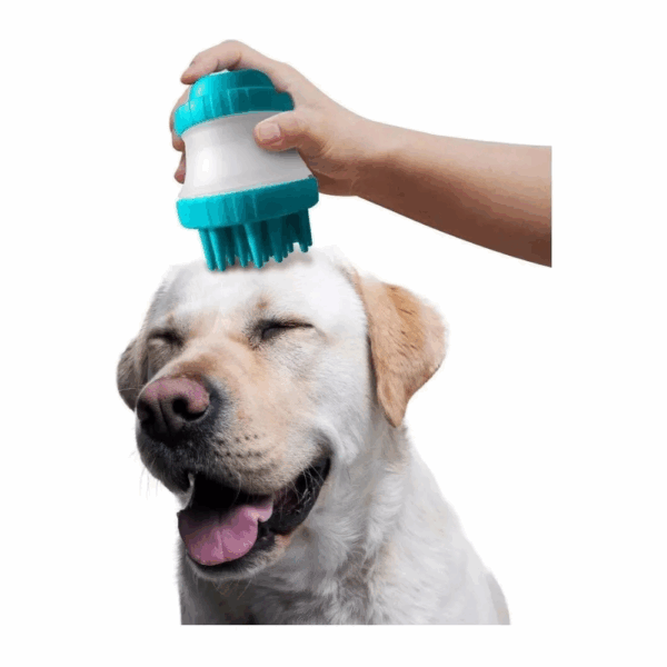 Cepillo Con Dispensador Masajeador