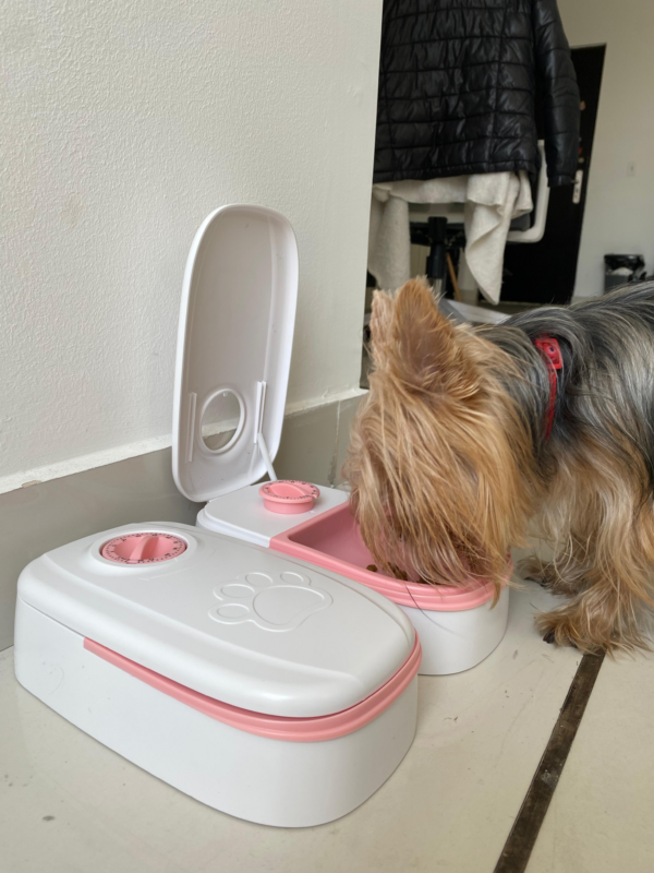 Comedero doble para mascota con temporizador - Image 4