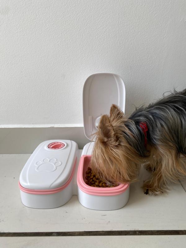 Comedero doble para mascota con temporizador - Image 2