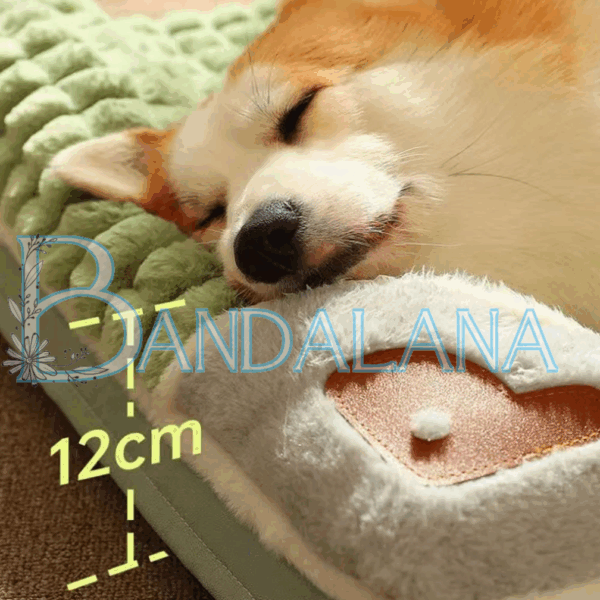 Cama Ortopedica para Mascotas - Image 2