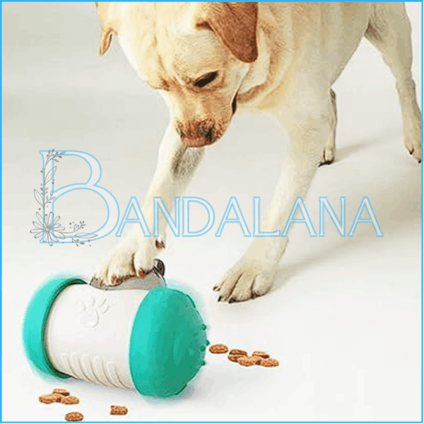 Dispensador didactico para mascotas - Image 3