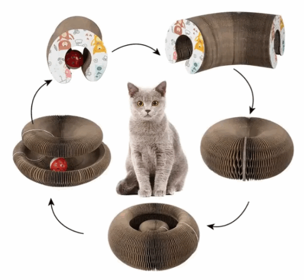 Rascador Interactivo para Gatos