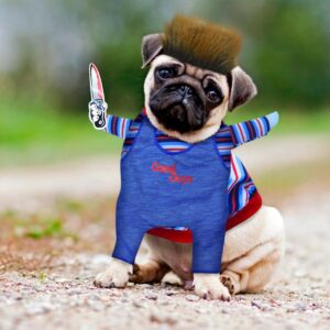 Inicio 3 Disfraz Para Mascotas Chucky