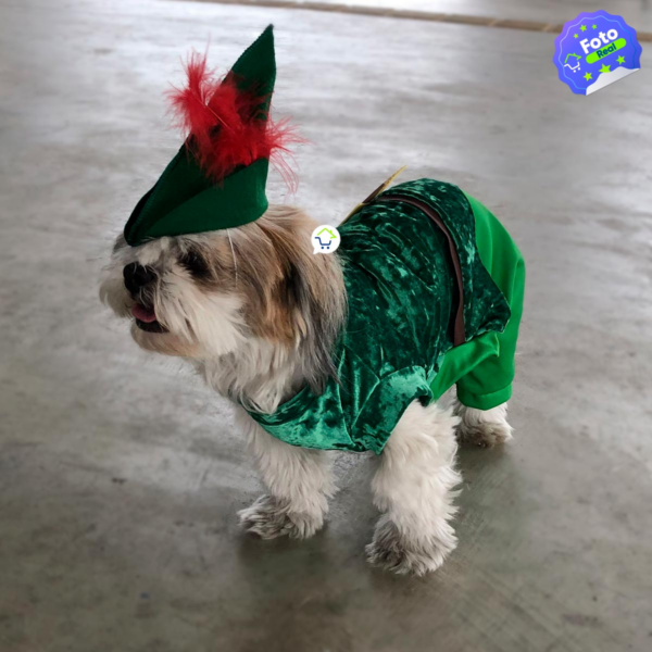 Disfraz Para Mascotas Peter Pan X1 - Image 5