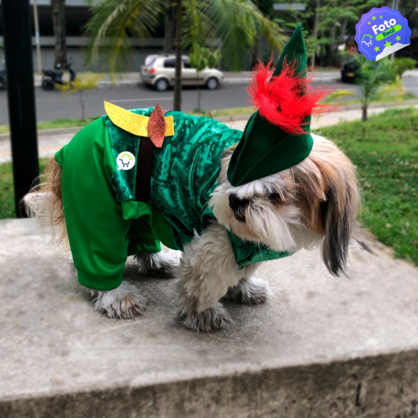 Disfraz Para Mascotas Peter Pan X1 - Image 2