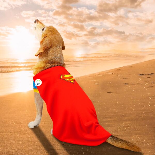 Disfraz Mascotas Super Man X1 - Image 2