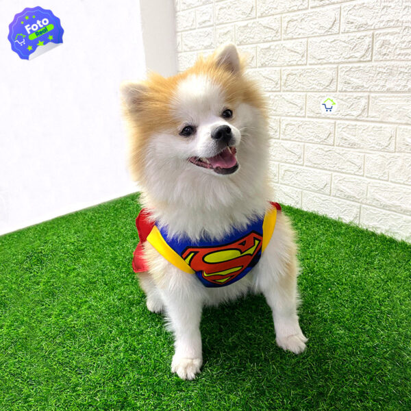 Disfraz Mascotas Super Man X1 - Image 3
