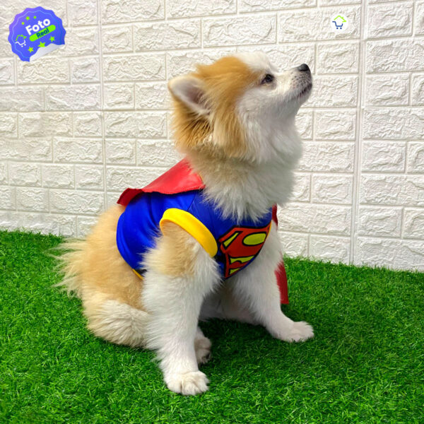 Disfraz Mascotas Super Man X1 - Image 4