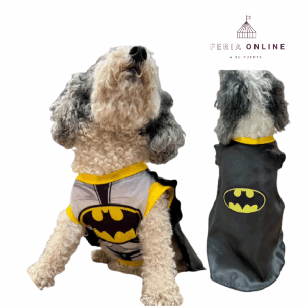 Disfraz de Batman