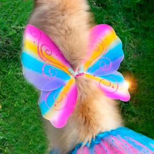 mascota mariposa